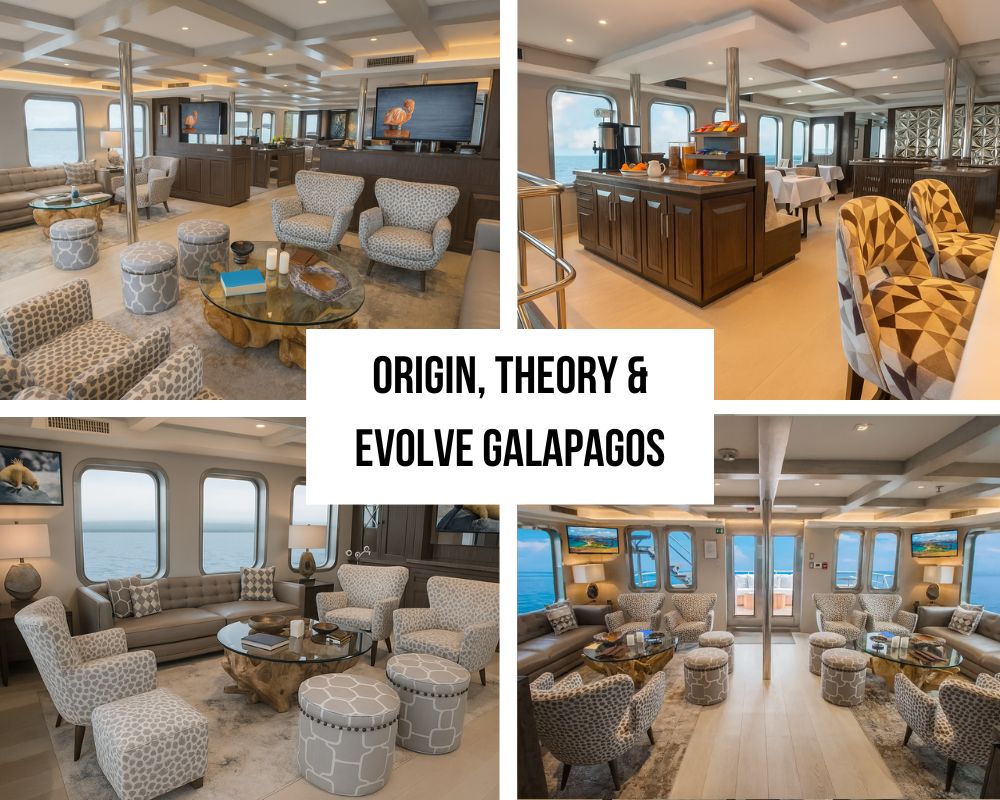 Origin, Theory & Evolve Galapagos Cruises