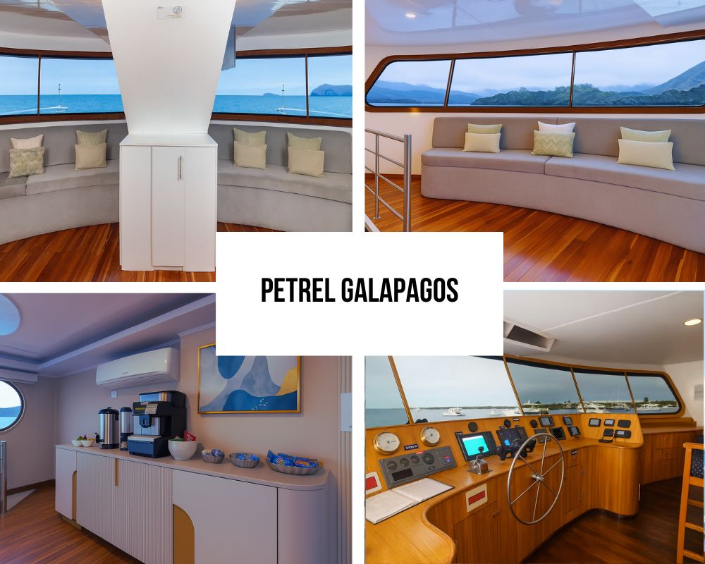 Servizio familiare completo e eccellenza dell’equipaggio a bordo del Petrel
