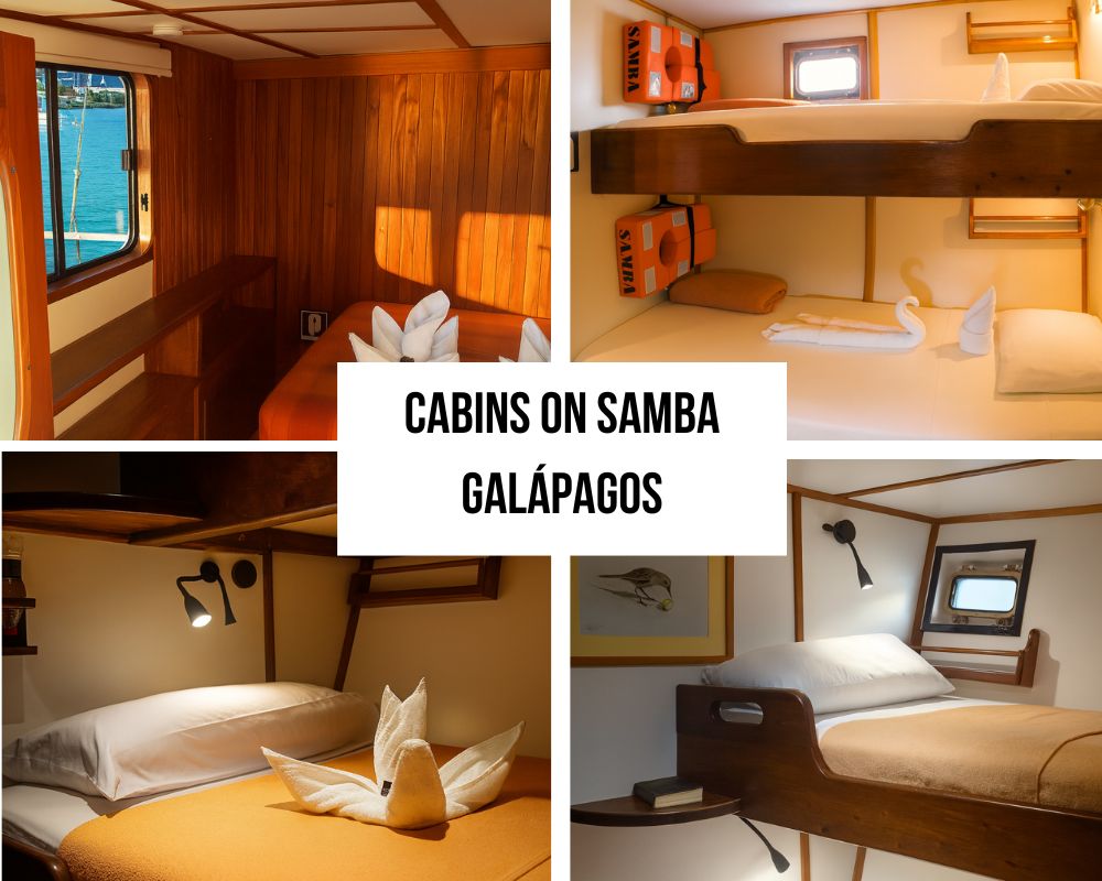 Dutch Classic Design and Comfort on the Samba Galapagos Cruise