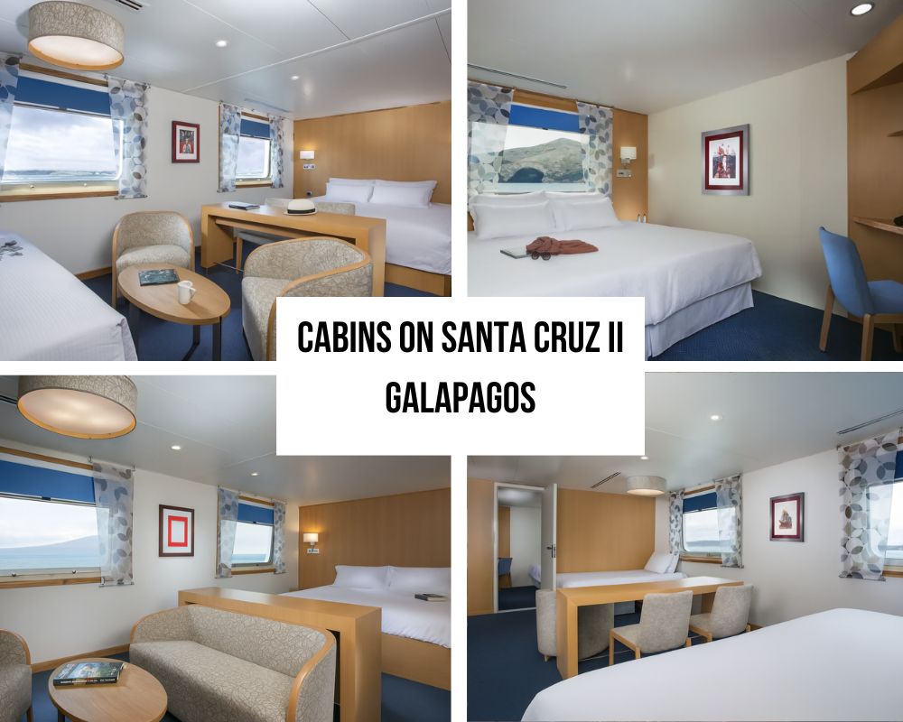 Outstanding Family Excellence and Children's Programs on the Santa Cruz II