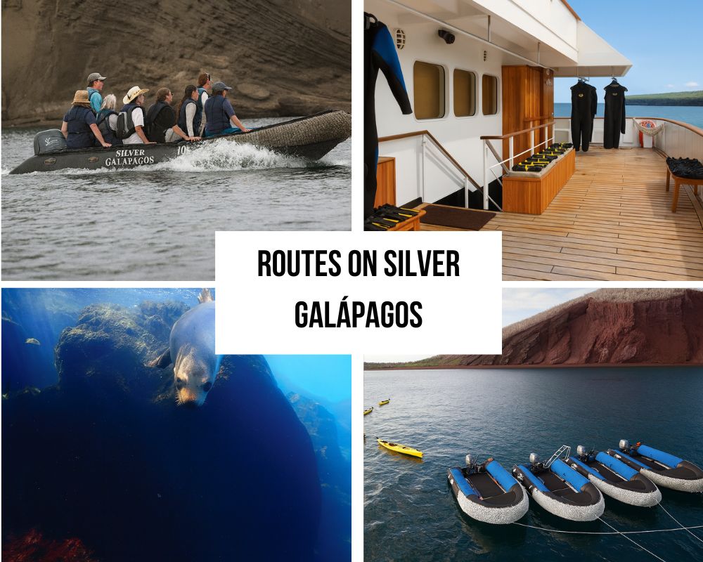 Silversea Excellence and Heritage on the Silver Galapagos Cruise