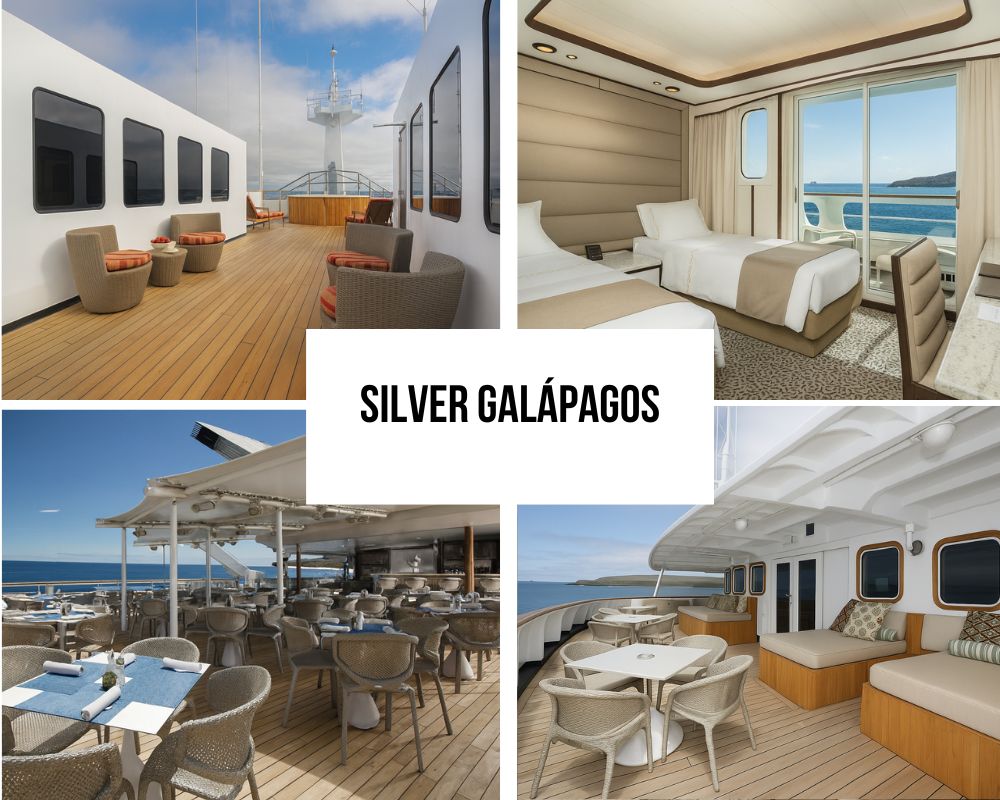 Silver Galapagos Cruise