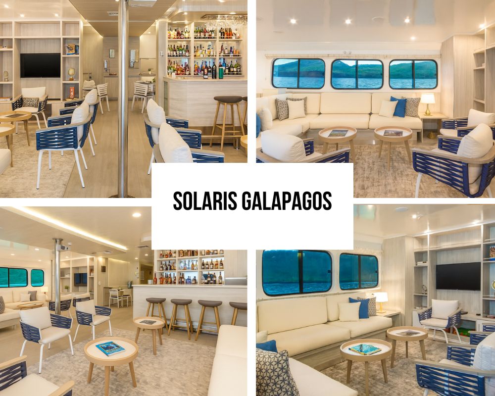Solaris Galapagos Cruise