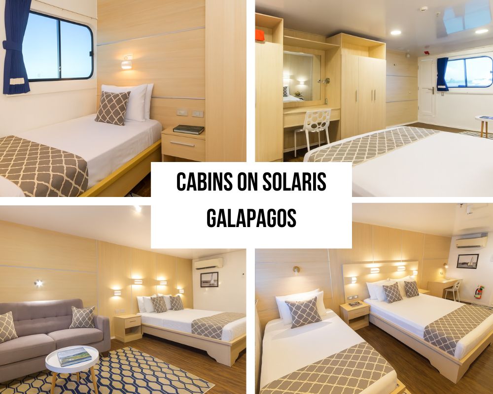 Exceptional Crew Service and Owner Excellence on the Solaris Galapagos Cruise