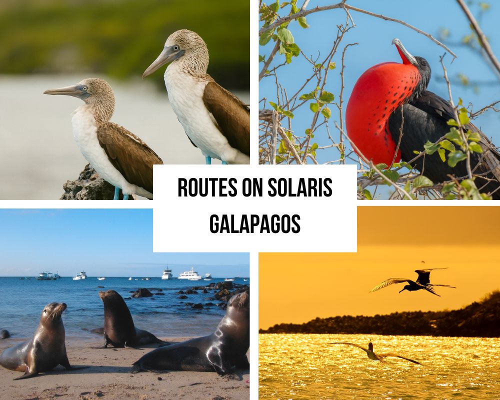 Comprehensive Itinerary Portfolio on the Solaris Galapagos Cruise