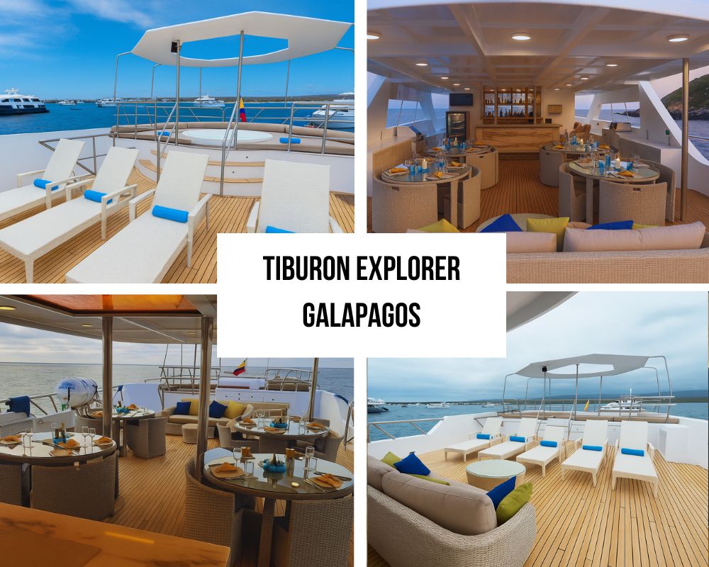 Outstanding State-of-the-Art Dive Deck and Infrastructure Excellence on Tiburon Explorer