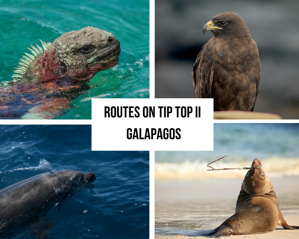 Comprehensive Itinerary Portfolio on the Tip Top II Galapagos Cruise