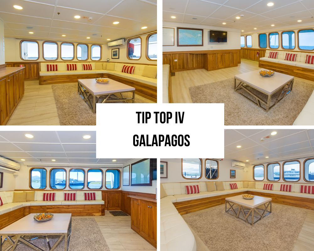 Tip Top IV Galapagos Cruise