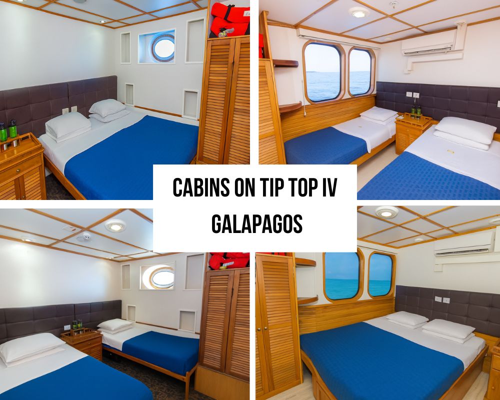 Elegant Accommodation and Fresh Design Excellence on the Tip Top IV Galapagos Cruise