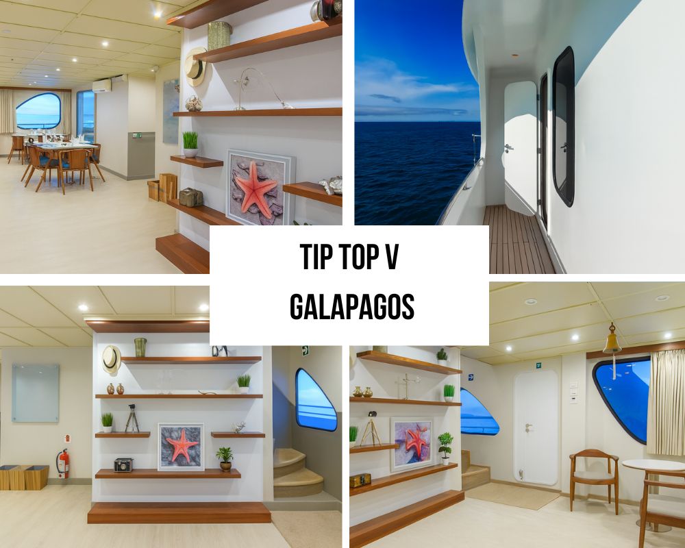 Exceptional Catamaran Stability and Hot Tub Luxury on the Tip Top V Galapagos Cruise