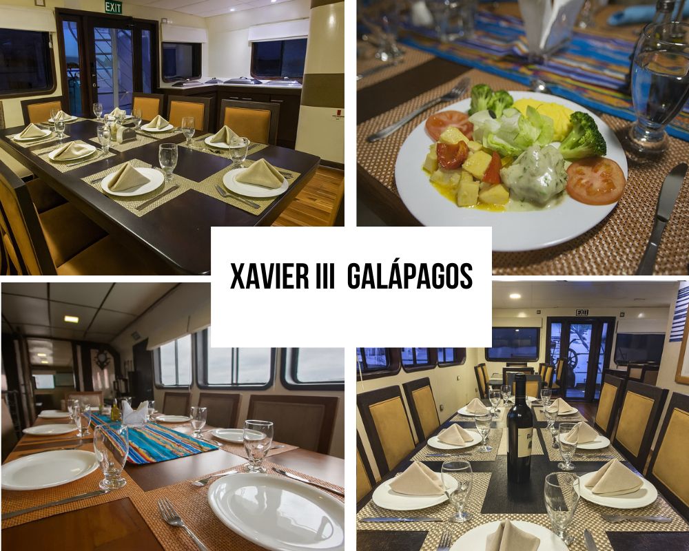 Highly Rated Crew Service on the Xavier III Galapagos Cruise