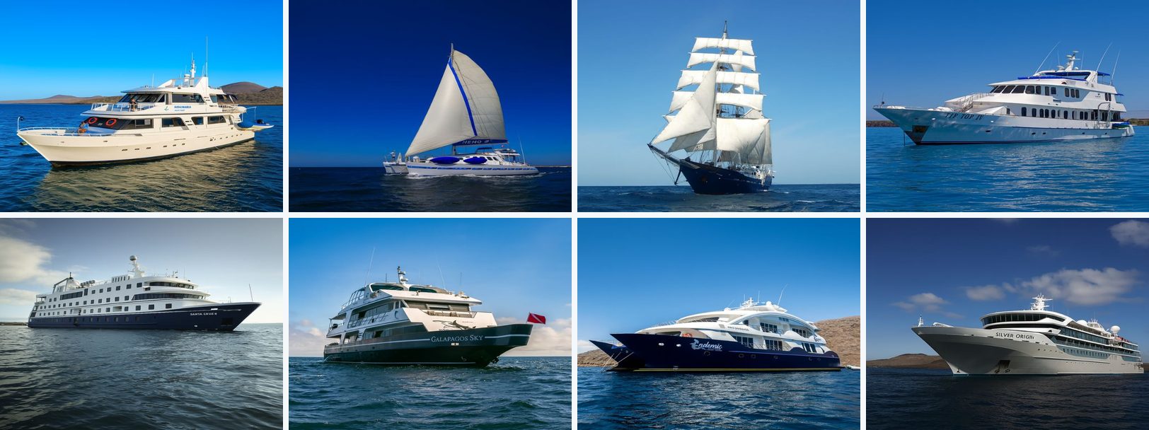 Eight of the ships compared on Cruises to Galapagos Islands: Aida Maria, Nemo III, Mary Anne, Tip Top IV, Santa Cruz II, Galapagos Sky, Endemic, Silver Origin