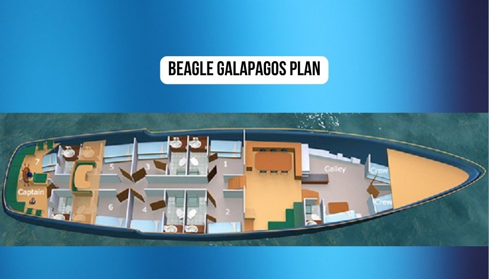 plan of the beagle galapagos