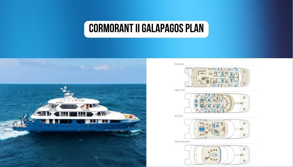 Design innovativo e innovazione del mega-catamarano più recente sulla Cormorant II