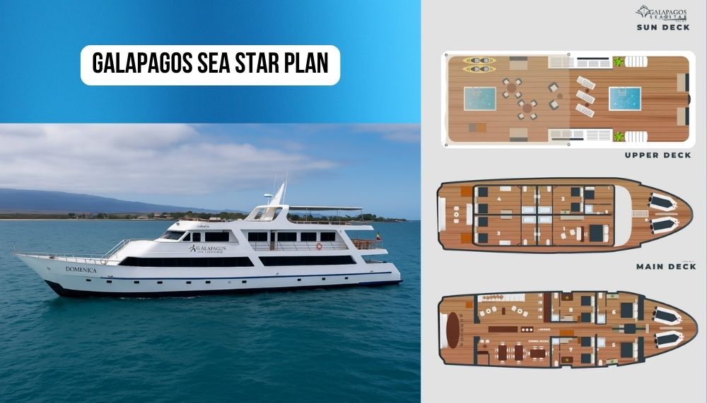 Innovazione, tradizione familiare ed eccellenza locale a bordo della Galapagos Sea Star