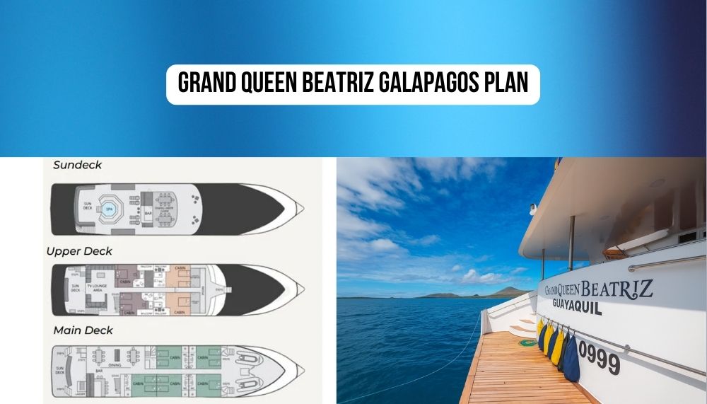 Brand New 2020 Construction and Cutting-Edge Technology on the Grand Queen Beatriz Galapagos Cruise