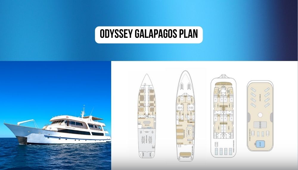 Traditionelle Erste-Klasse-Motoryacht-Atmosphäre auf der Galápagos-Odyssey-Kreuzfahrt
