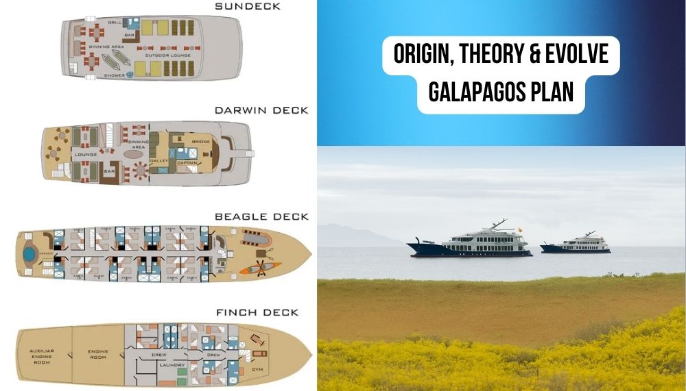 Revolutionary Sustainable Luxury and Environmental Leadership on Origin, Theory & Evolve Galapagos Cruises