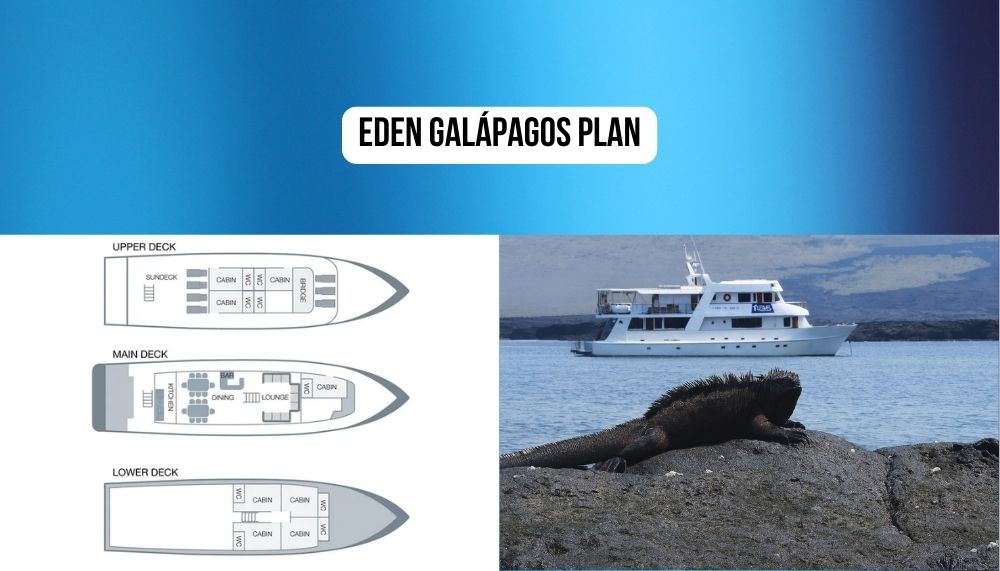 Purpose-Built Classic Design on the Eden Galapagos Cruise