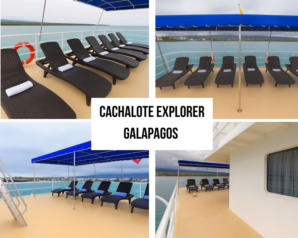Guest Testimonials on the Cachalote Explorer Galapagos Cruise