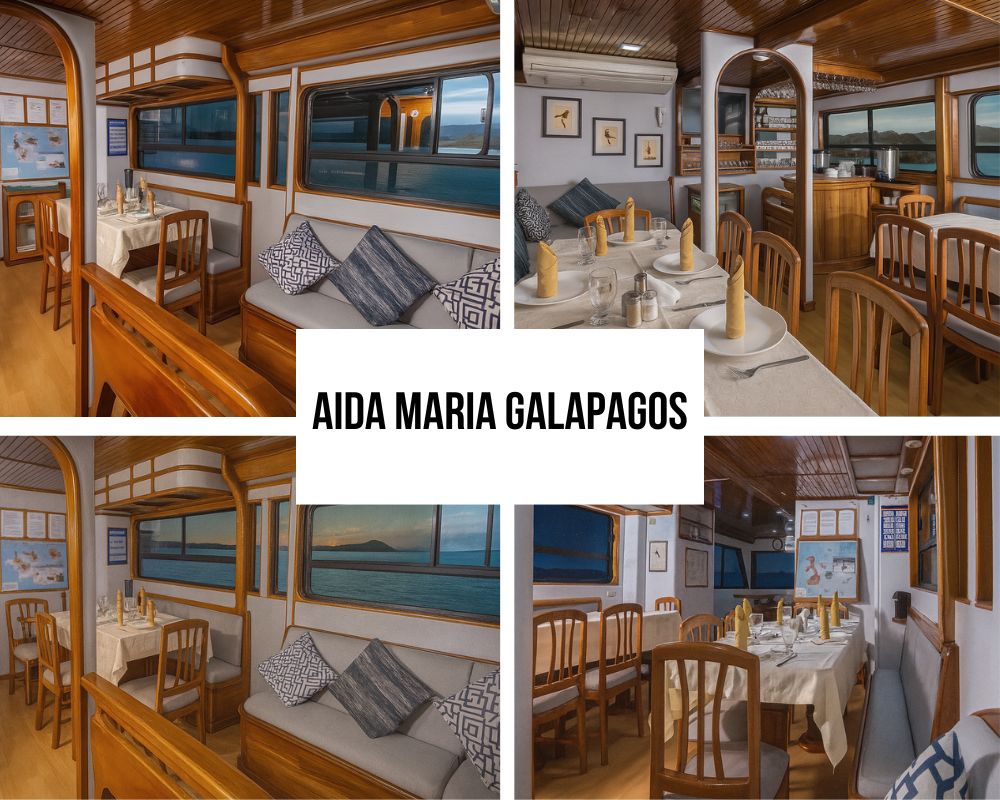 Aida Maria Galapagos interior furnishings