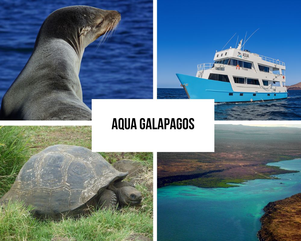 Guest Experiences on the Aqua Galapagos Cruise