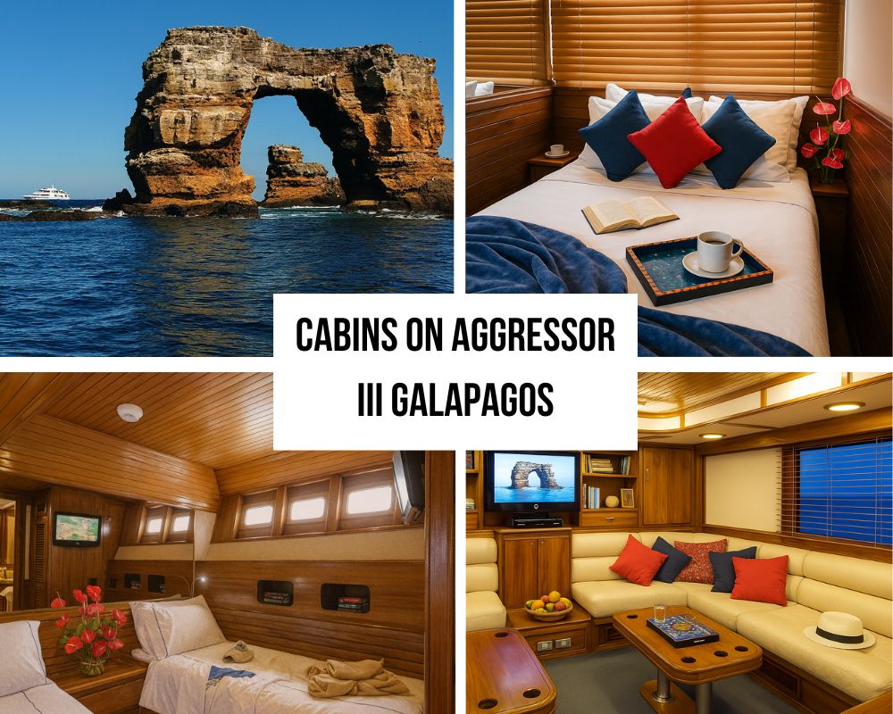 Cabins on the Aggressor III Galapagos Cruise