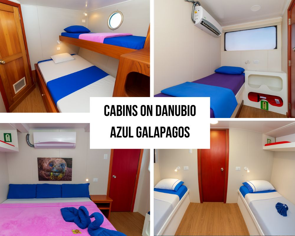 Accommodations on the Danubio Azul Galapagos Cruise