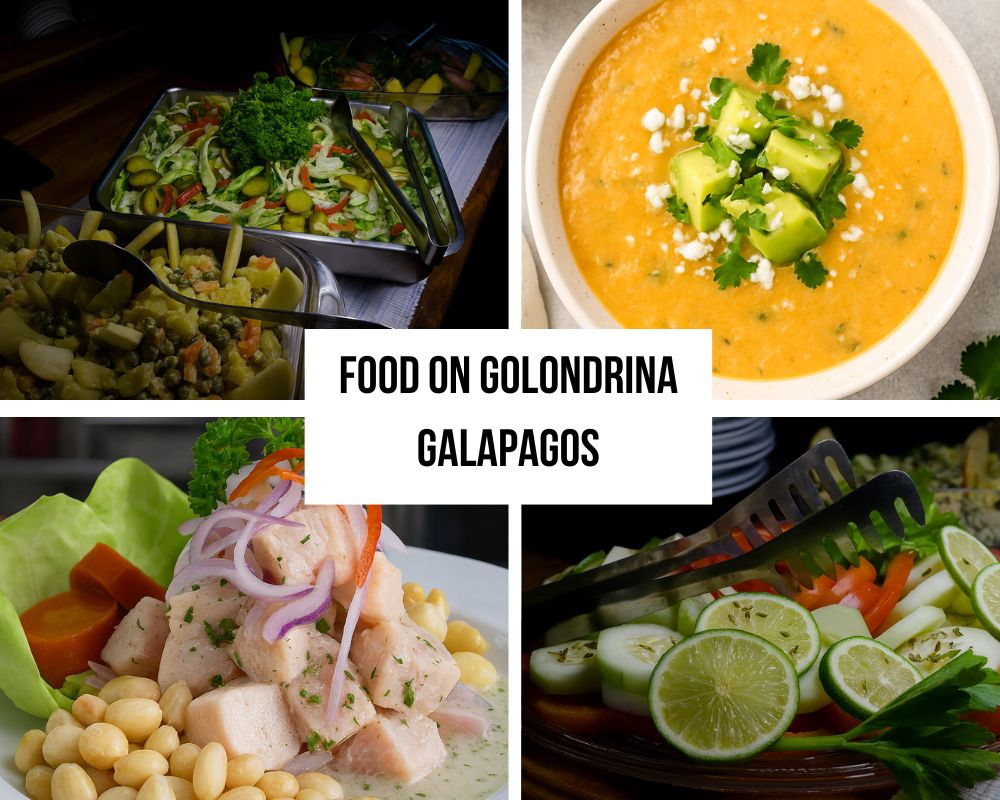 Dining Experience on the Golondrina Galapagos Cruise