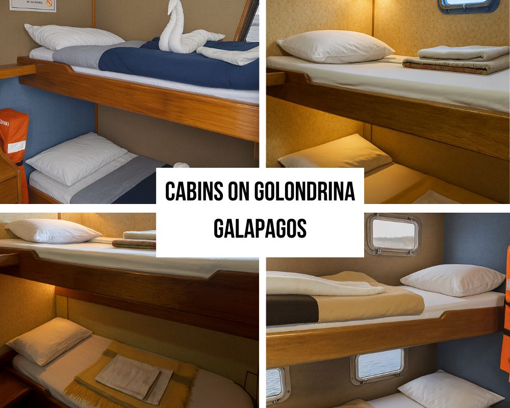 Cabins on the Golondrina Galapagos Cruise