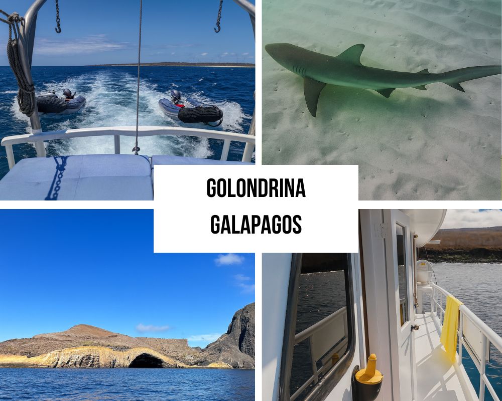 What's Covered on the Golondrina Galapagos Cruise
