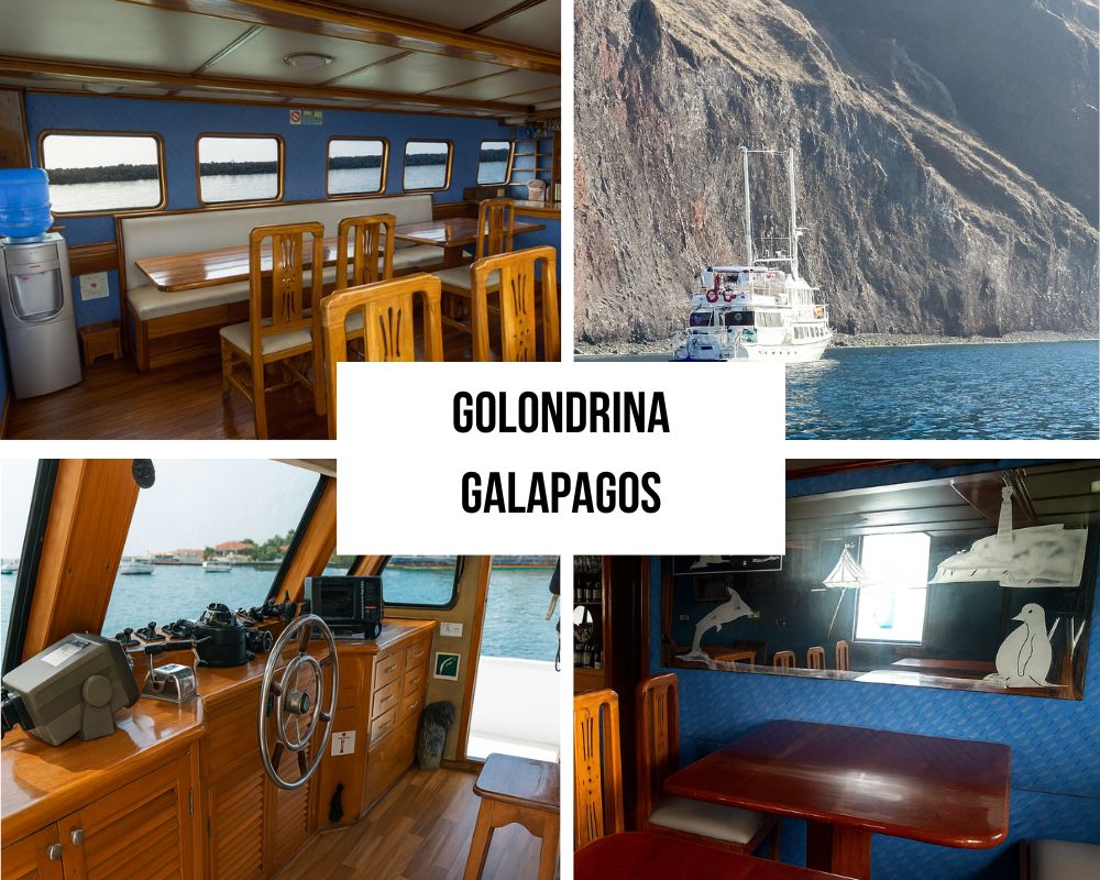 Fun-Loving Atmosphere on the Golondrina Galapagos Cruise