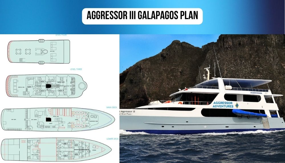 Spacious Accommodations on the Aggressor III Galapagos Cruise