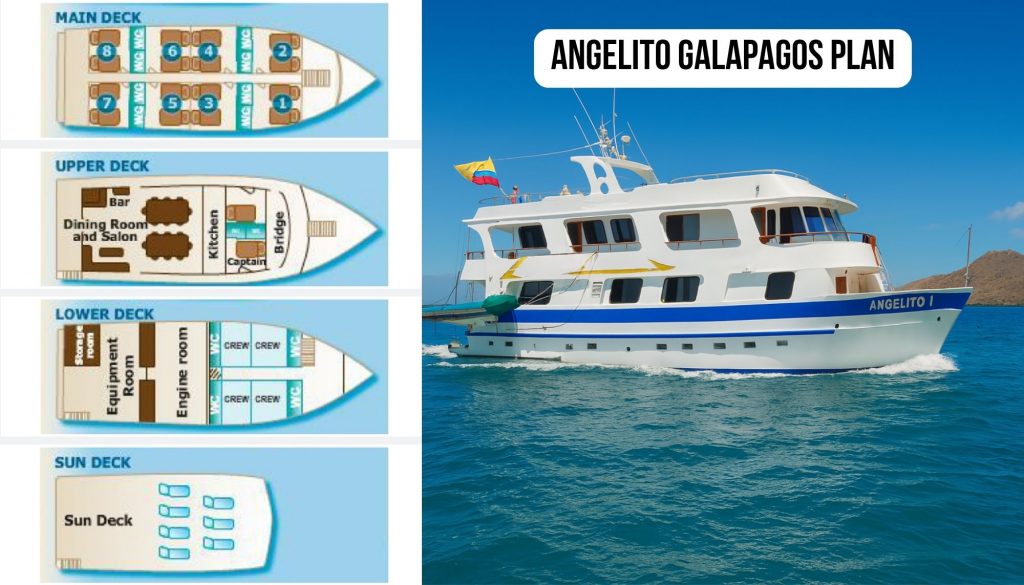 angelito galapagos plan