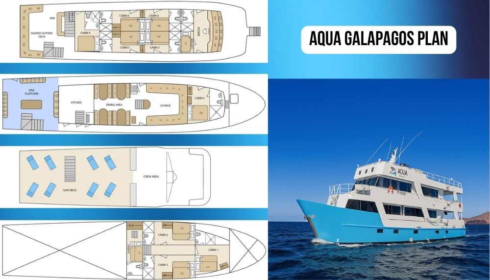 Three-Deck Layout on the Aqua Galapagos Cruise