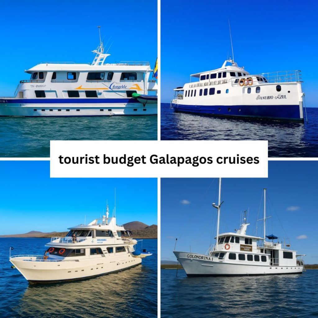 Budget Galapagos options
