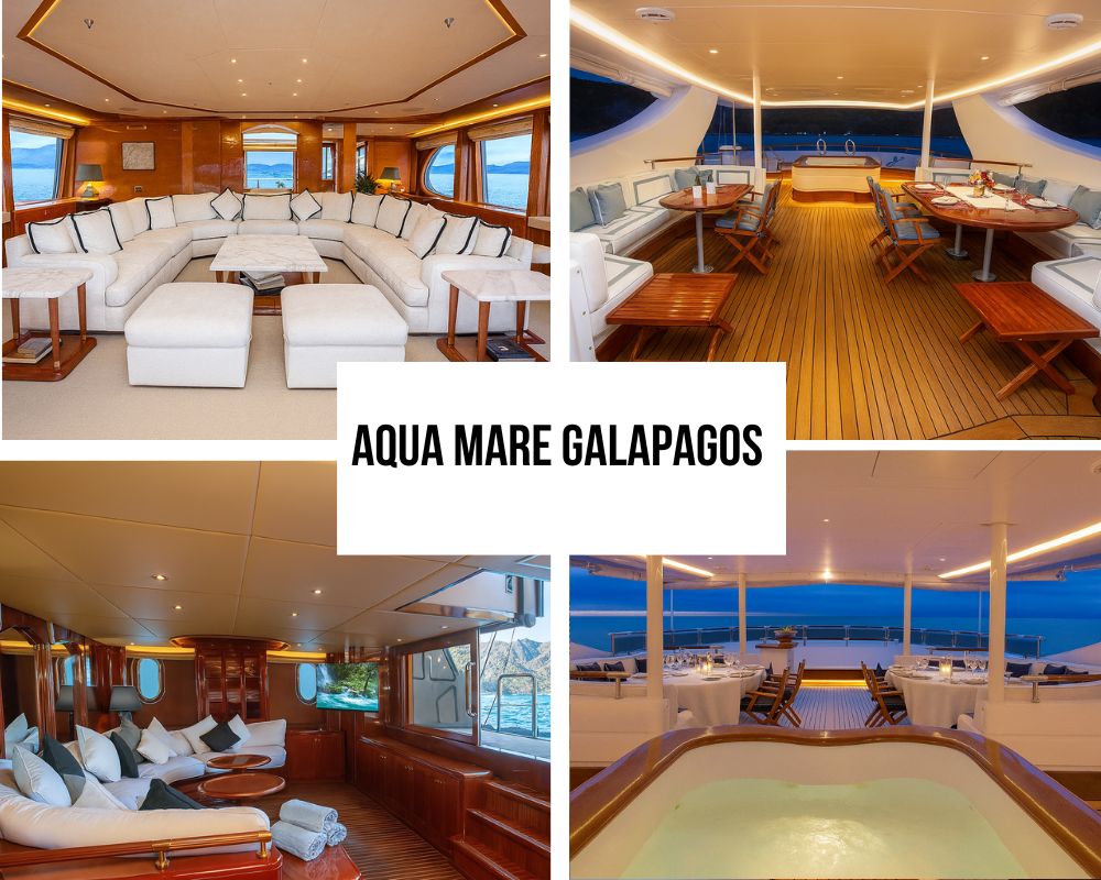 Superyacht Amenities and Activities on the Aqua Mare Galapagos Cruise