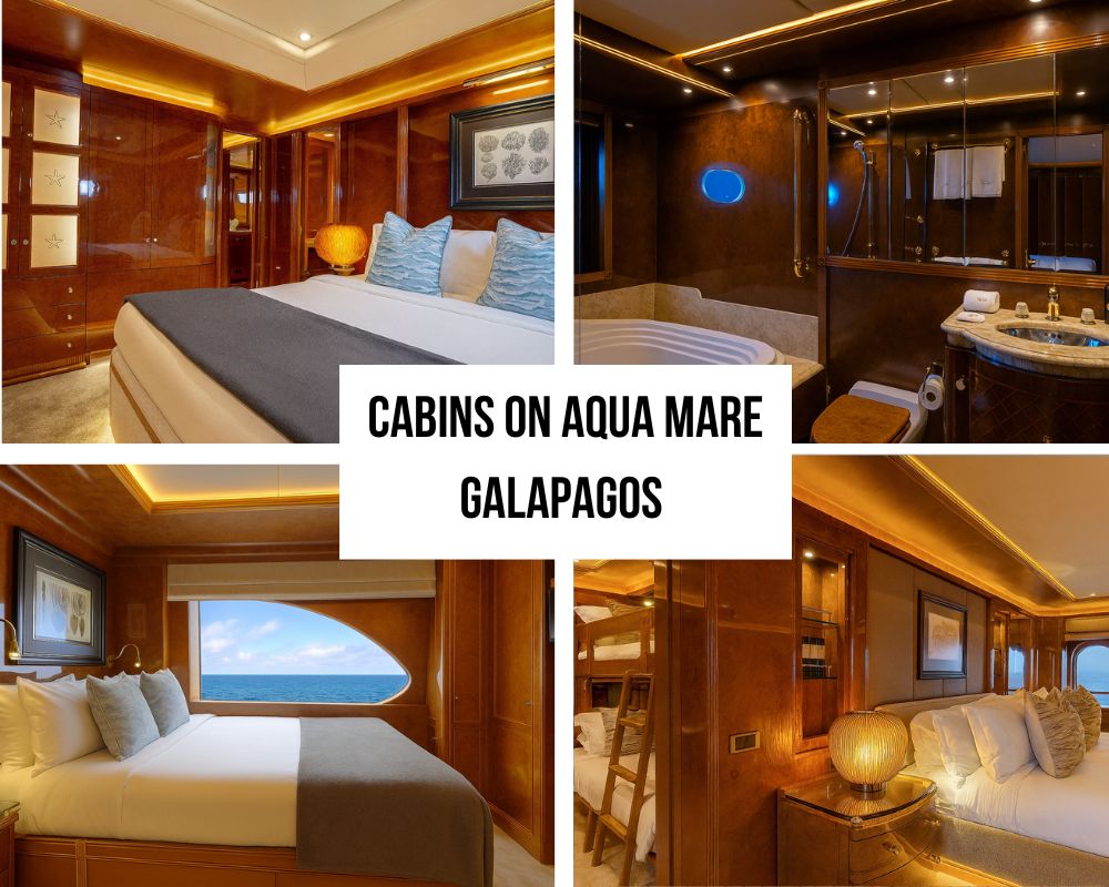 Guest Experience Testimonials on the Aqua Mare Galapagos Cruise