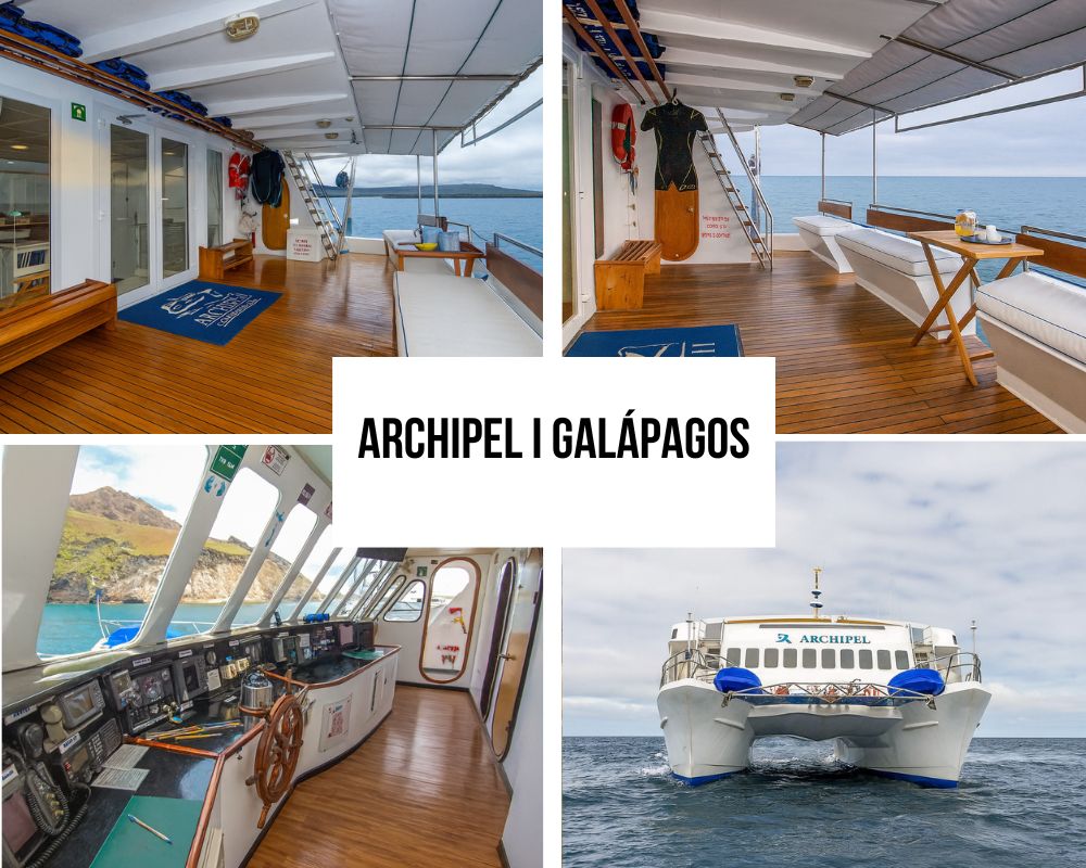 Enhanced Speed and Efficiency on the Archipel I Galapagos Cruise