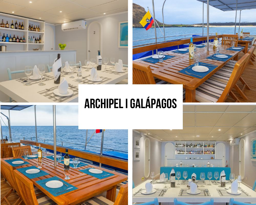 Delightful Communal Spaces and Social Areas on the Archipell I Galapagos Cruise