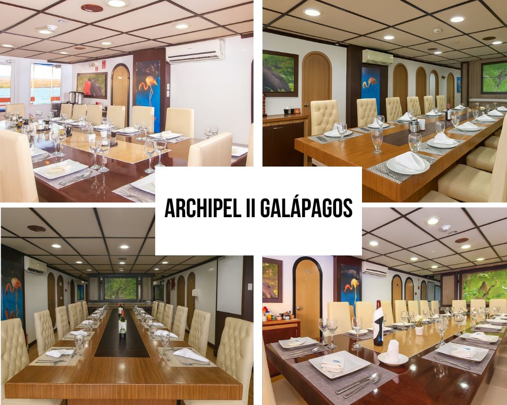 Enhanced Crew Service and Guide Excellence on the Archipel II Galapagos Cruise