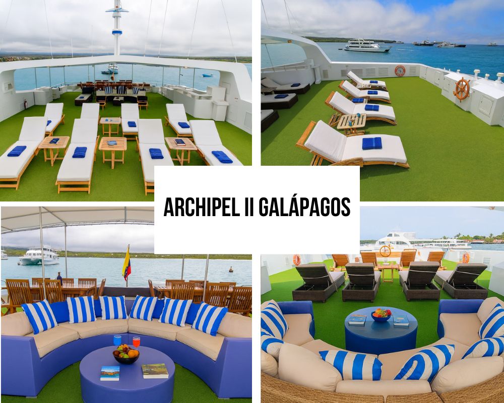 Social Area Configuration on the Archipel II Galapagos Cruise