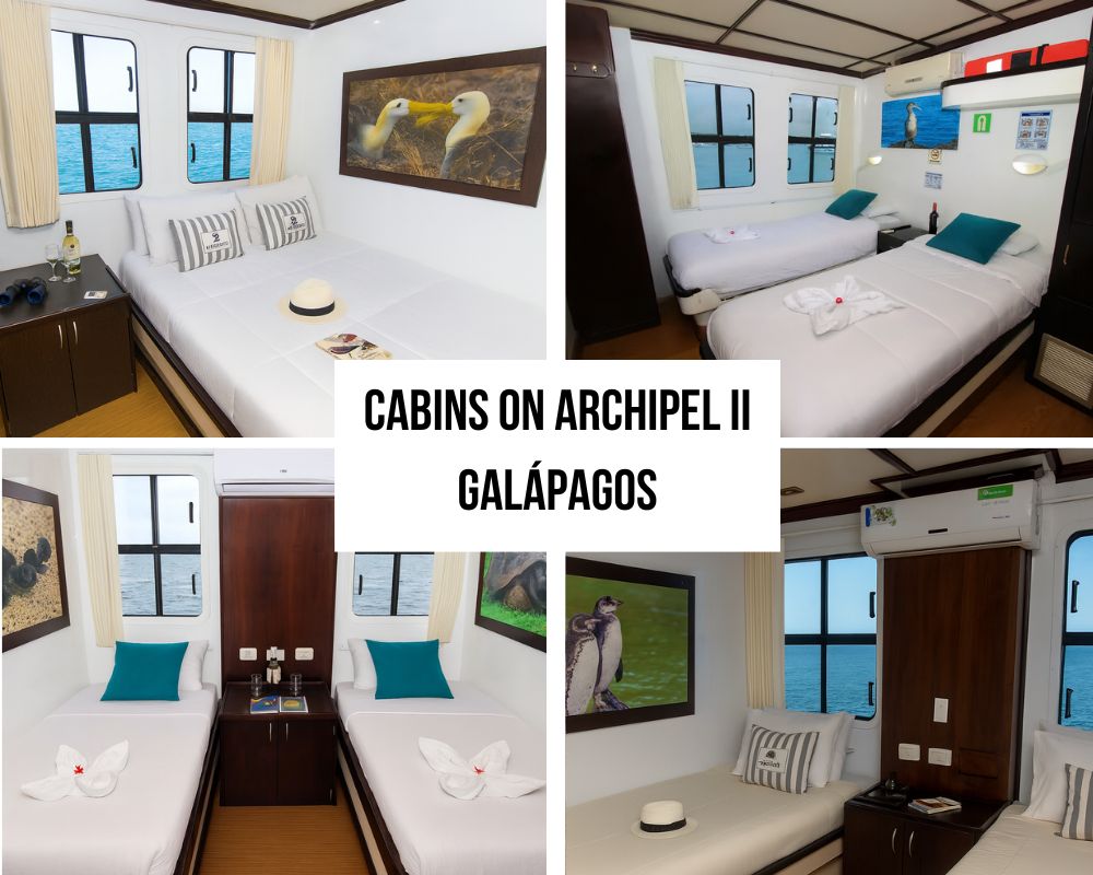 The Archipel II represents Classic/Tourist Superior Galápagos Cruises, offering comfortable accommodations