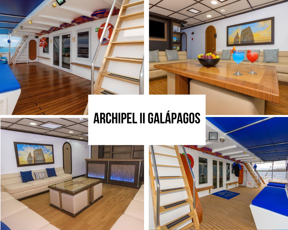 Archipell II Galapagos Cruise