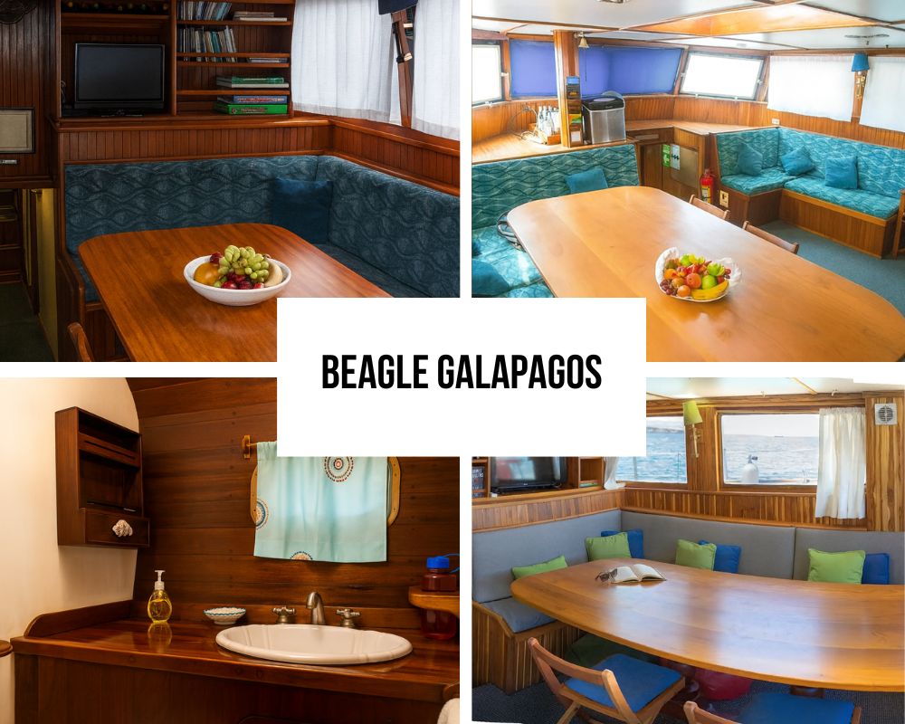 Comprehensive Inclusions on the Beagle Galapagos Cruise