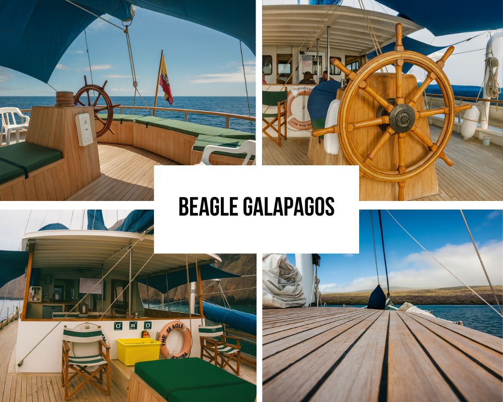 Exclusive Access Privileges on the Beagle Galapagos Cruise