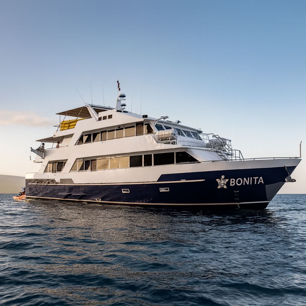 Bonita Galapagos Cruise: Where Craftsmanship Meets Conservation