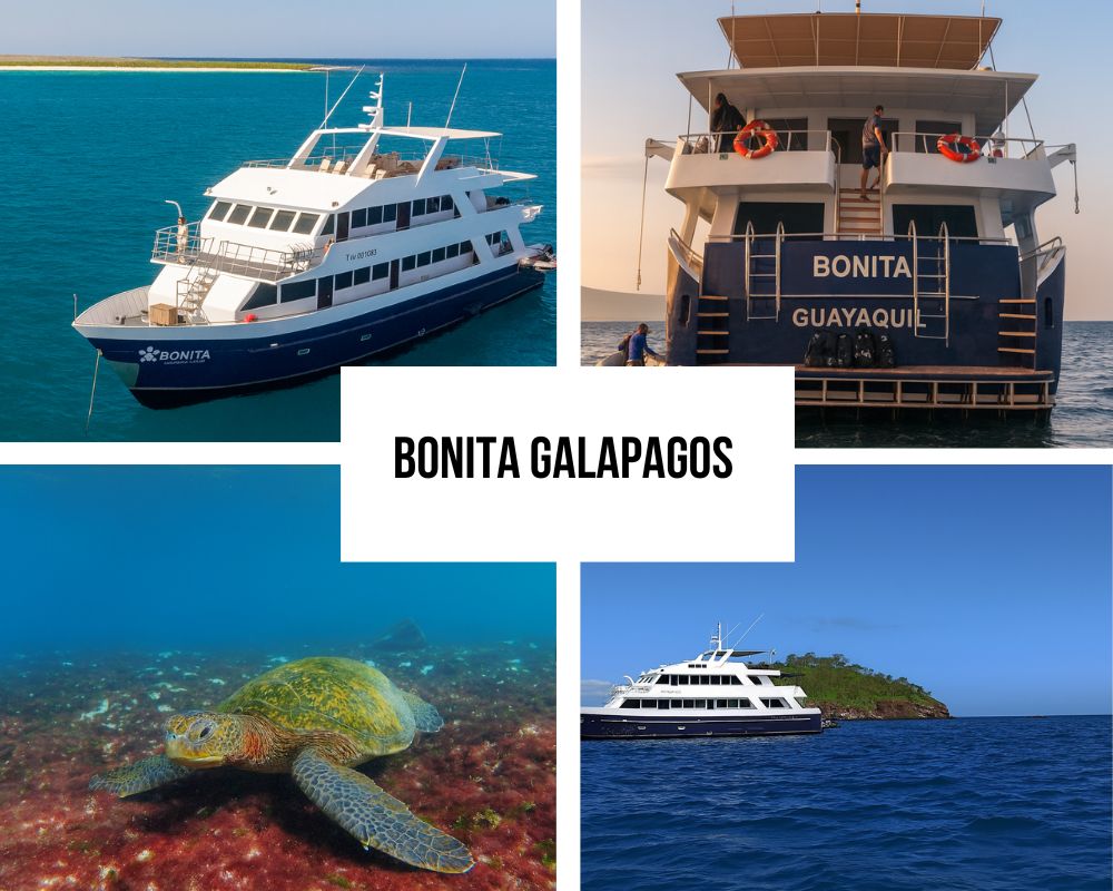 Bonita Galapagos Cruise