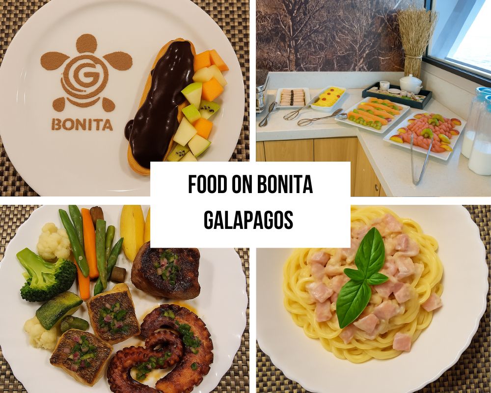 Culinary Excellence on the Bonita Galapagos Cruise