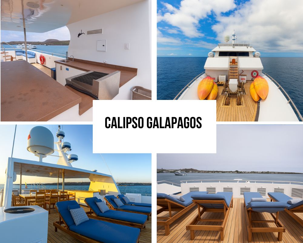 Guest Testimonials on the Calipso Galapagos Cruise